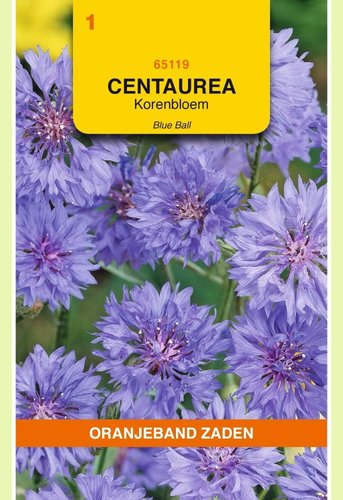 OBZ Centaurea, Korenbloem Blue Ball - afbeelding 1