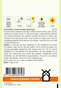 OBZ Cheiranthus, Muurbloem enkelbloemig gemengd - afbeelding 2