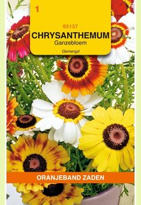OBZ Chrysanthemum, Ganzenbloem gemengd - afbeelding 1