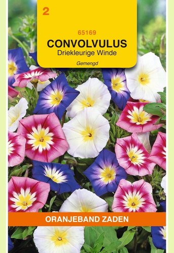 OBZ Convolvulus, Driekleurige Winde gemengd - afbeelding 1