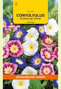 OBZ Convolvulus, Driekleurige Winde gemengd - afbeelding 1