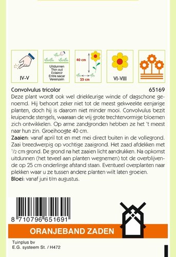 OBZ Convolvulus, Driekleurige Winde gemengd - afbeelding 2