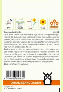 OBZ Convolvulus, Driekleurige Winde gemengd - afbeelding 2