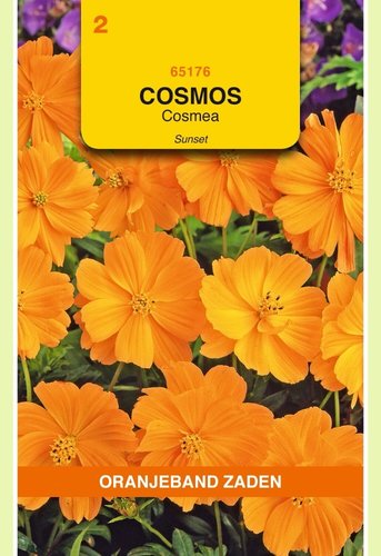 OBZ Cosmos, Cosmea Sunset - afbeelding 1