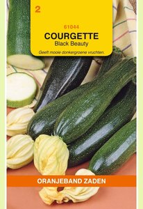 OBZ Courgette Black Beauty - afbeelding 1