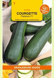 OBZ Courgette Partenon F1 - afbeelding 1