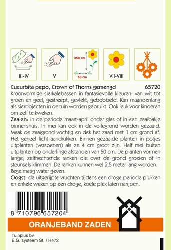 OBZ Cucurbita, Sierkalebas Crowns Of Thorns gemengd - afbeelding 2