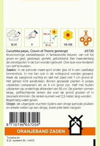 OBZ Cucurbita, Sierkalebas Crowns Of Thorns gemengd - afbeelding 2