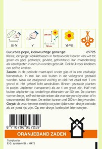 OBZ Cucurbita, Sierkalebas kleinvruchtig gemengd - afbeelding 2