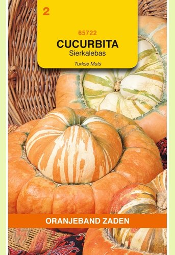 OBZ Cucurbita, Sierkalebas Turkse Muts - afbeelding 1