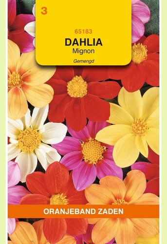 OBZ Dahlia, Mignon gemengd - afbeelding 1