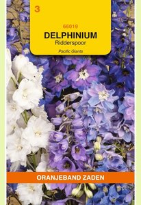 OBZ Delphinium, Ridderspoor Pacific Giants - afbeelding 1