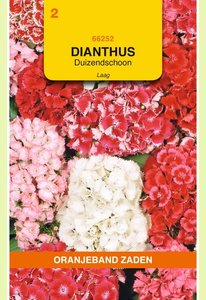 OBZ Dianthus, Duizendschoon gemengd laag - afbeelding 1