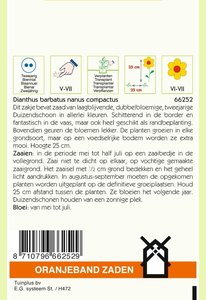 OBZ Dianthus, Duizendschoon gemengd laag - afbeelding 2