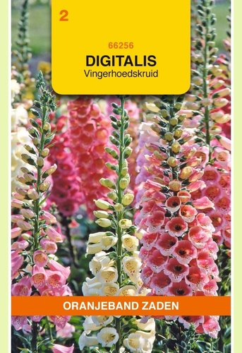 OBZ Digitalis, Vingerhoedskruid gemengd - afbeelding 1