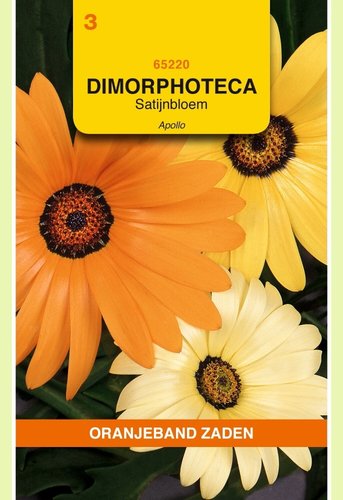 OBZ Dimorphoteca, Satijnbloem Apollo - afbeelding 1