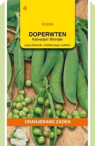 OBZ Doperwten Kelvedon Wonder, 100g - afbeelding 1