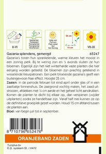 OBZ Gazania, Middaggoud gemengd - afbeelding 2