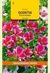 OBZ Godetia, zomerazalea gemengd - afbeelding 1