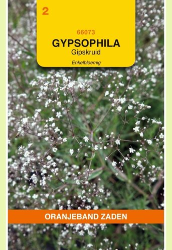 OBZ Gypsophila, Gipskruid enkelbloemig wit - afbeelding 1