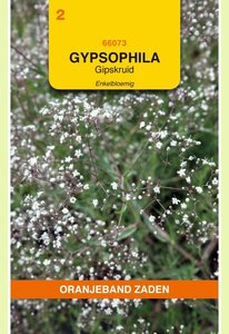 OBZ Gypsophila, Gipskruid enkelbloemig wit - afbeelding 1