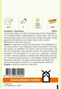 OBZ Hangaardbeien Temptation - afbeelding 2