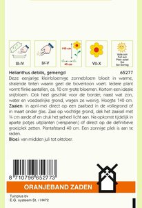 OBZ Helianthus, miniatuur Zonnebloem gemengd - afbeelding 2