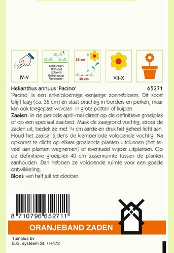 OBZ Helianthus, Potzonnebloem Pacino - afbeelding 2