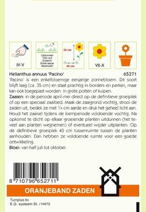 OBZ Helianthus, Potzonnebloem Pacino - afbeelding 2