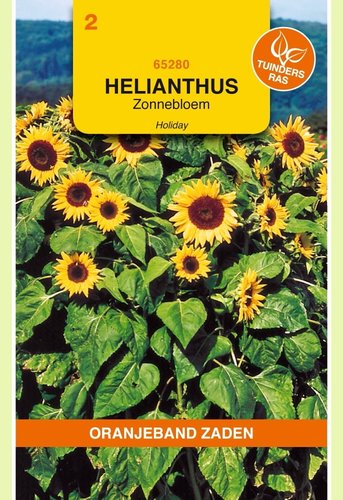 OBZ Helianthus, Zonnebloem Holiday - afbeelding 1