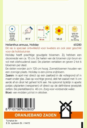 OBZ Helianthus, Zonnebloem Holiday - afbeelding 2