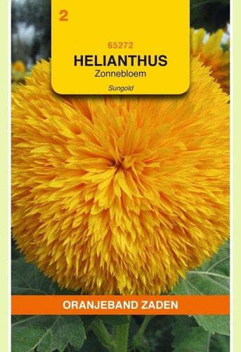 OBZ Helianthus, Zonnebloem Sungold dubbelbloemig hoog - afbeelding 1