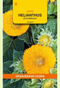 OBZ Helianthus, Zonnebloem Sungold dubbelbloemig laag - afbeelding 1