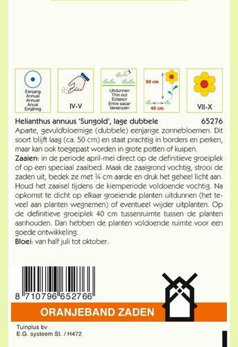 OBZ Helianthus, Zonnebloem Sungold dubbelbloemig laag - afbeelding 2