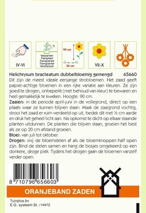 OBZ Helichrysum, Strobloem dubbelbloemig gemengd - afbeelding 2