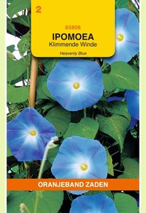 OBZ Ipomoea, Klimmende Winde Heavenly Blue - afbeelding 1