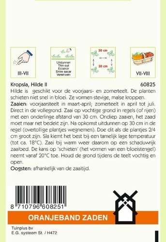 OBZ Kropsla Hilde II - afbeelding 2