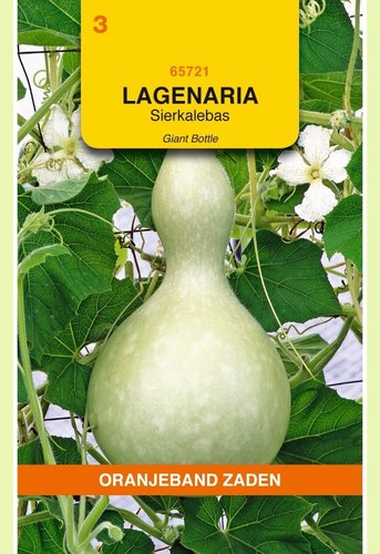 OBZ Lagenaria, Sierkalebas Giant Bottle - afbeelding 1