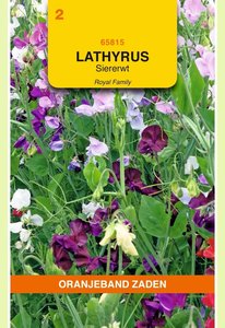 OBZ Lathyrus, Reuk- of siererwt Royal gemengd - afbeelding 1