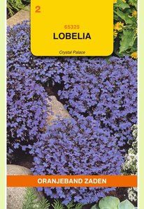 OBZ Lobelia Crystal Palace - afbeelding 1