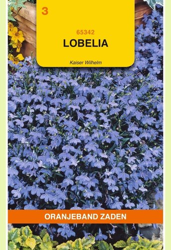 OBZ Lobelia Kaiser Wilhelm - afbeelding 1