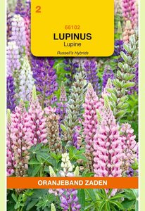 OBZ Lupinus, Lupine Russell's gemengd - afbeelding 1