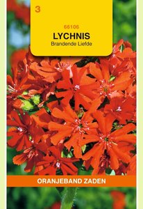 OBZ Lychnis, Brandende Liefde - afbeelding 1