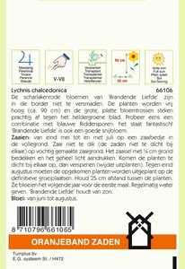 OBZ Lychnis, Brandende Liefde - afbeelding 2