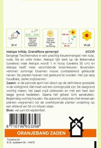 OBZ Malope, Trechtermalva gemengd - afbeelding 2