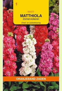 OBZ Matthiola, Zomerviolieren enkel- en dubbelbloemig - afbeelding 1