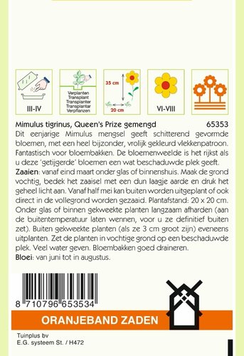 OBZ Mimulus, Maskerbloem Queen's Prize - afbeelding 2