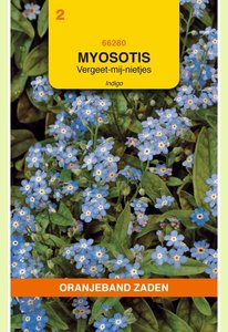 OBZ Myosotis, Vergeet-mij-niet Indigo, blauw - afbeelding 1