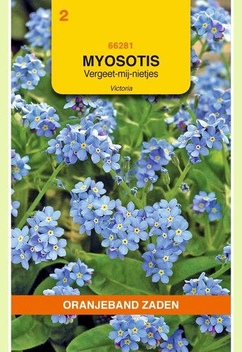 OBZ Myosotis, Vergeet-mij-niet Victoria, blauw - afbeelding 1