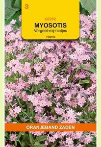 OBZ Myosotis, Vergeet-mij-niet Victoria, roze - afbeelding 1